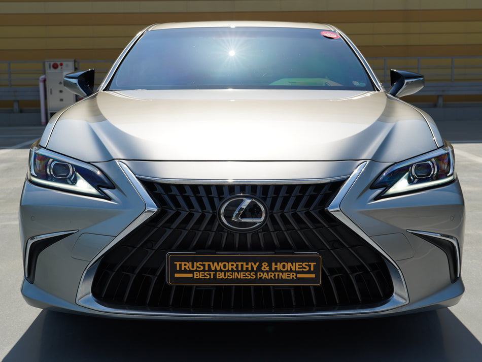 ES300h LUXURY PLUS