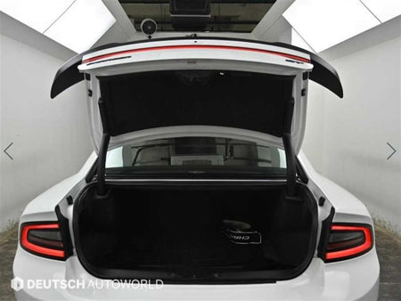 Dodge Charger — photo 20