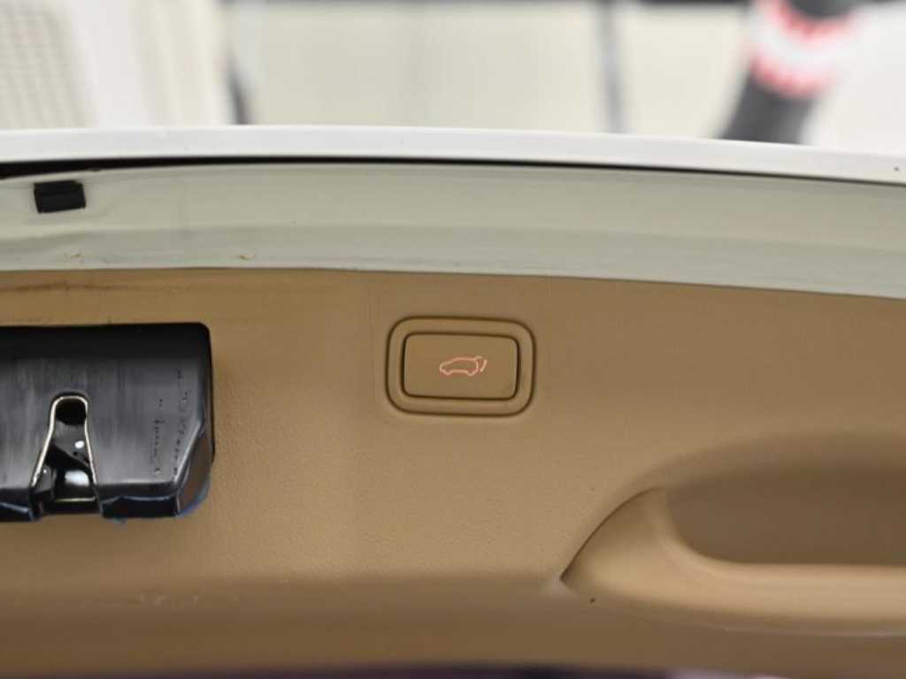 Kia Carnival — photo 20