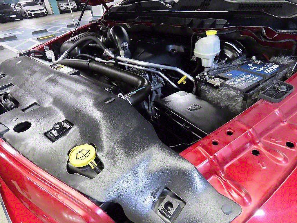 Dodge Ram Pick Up — photo 19
