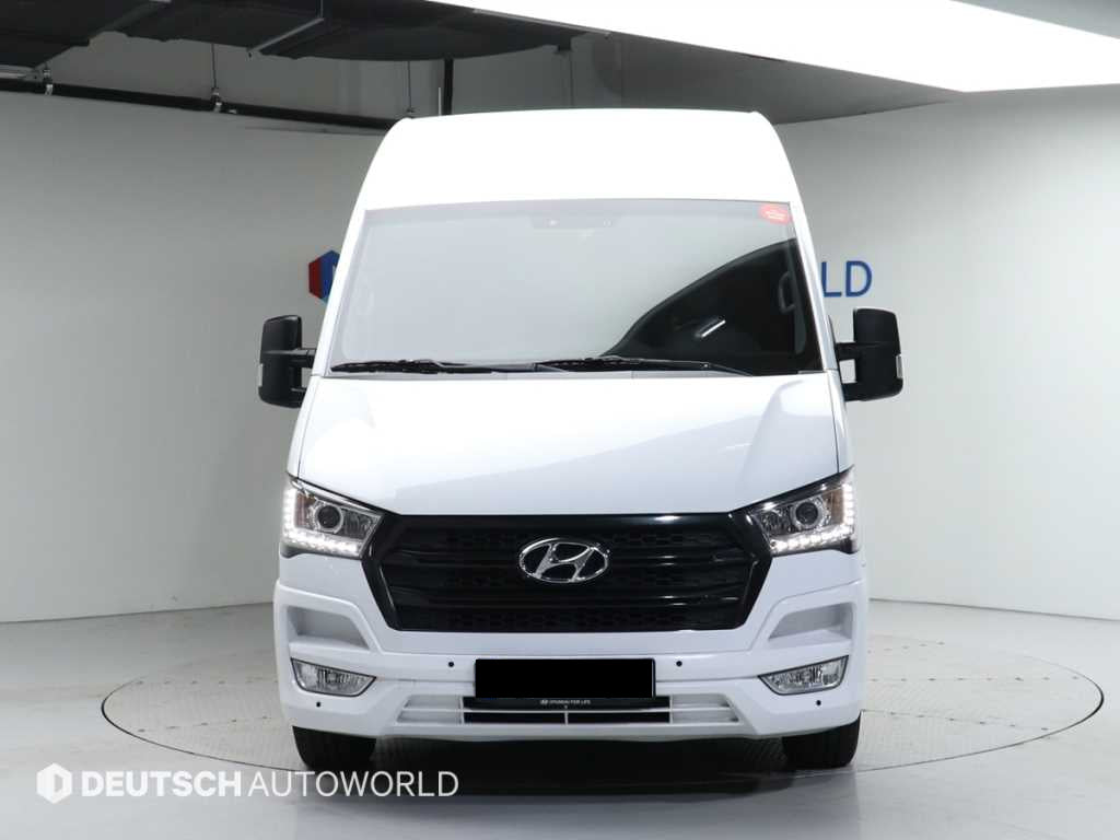 Hyundai Solati — photo 03