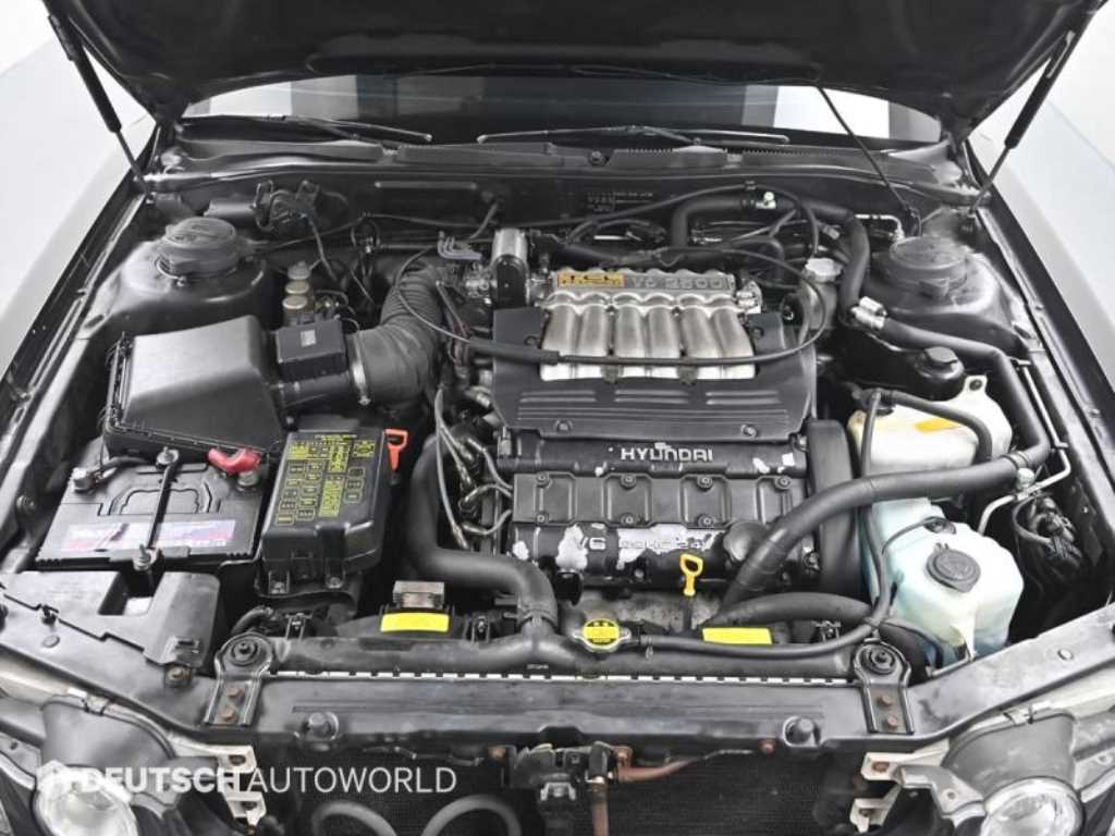 Hyundai Dynasty — photo 06