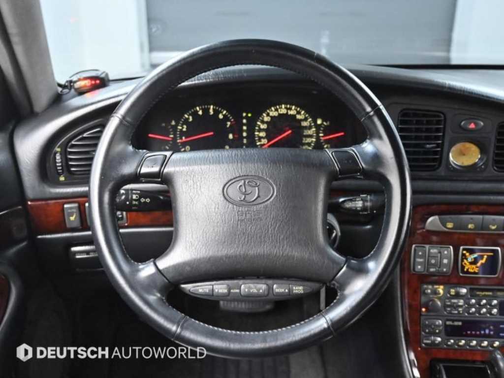 Hyundai Dynasty — photo 13