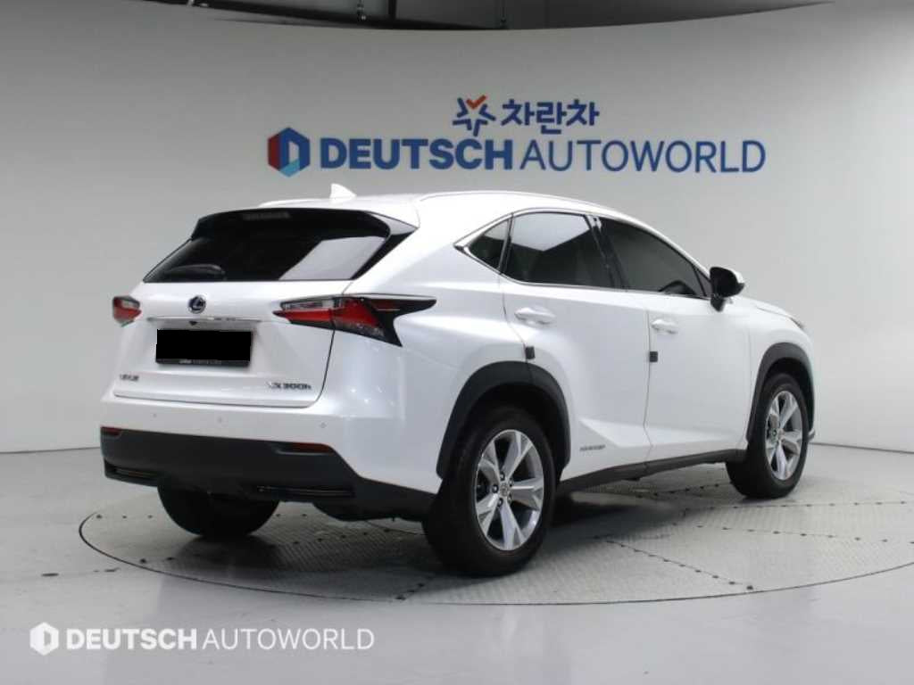 Lexus NX — photo 02