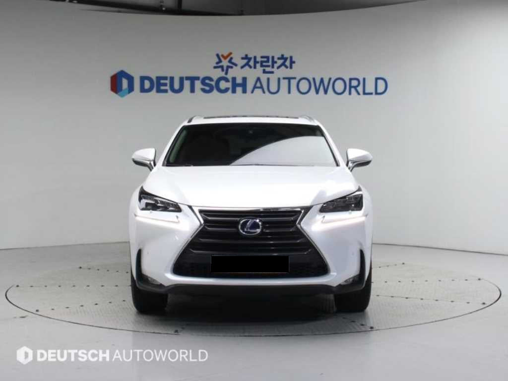 Lexus NX — photo 03