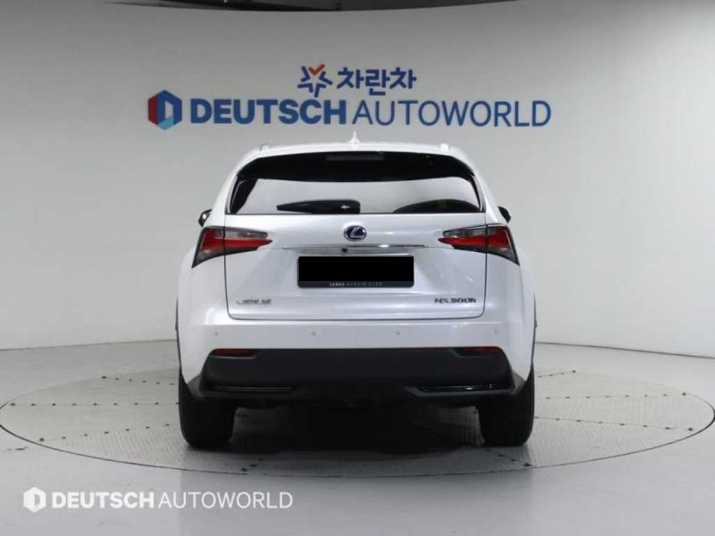 Lexus NX — photo 04