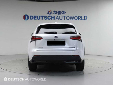 Lexus NX — photo 04