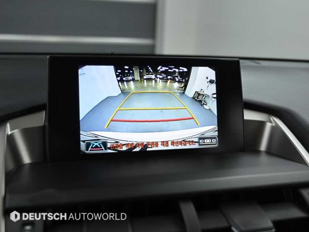 Lexus NX — photo 09
