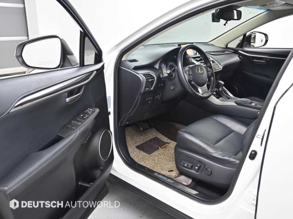 Lexus NX — photo 12