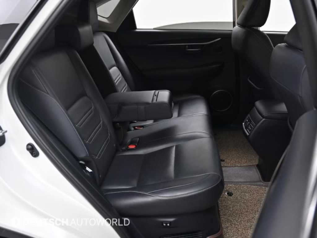 Lexus NX — photo 13