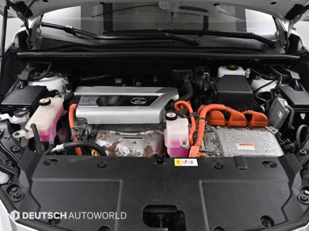 Lexus NX — photo 19