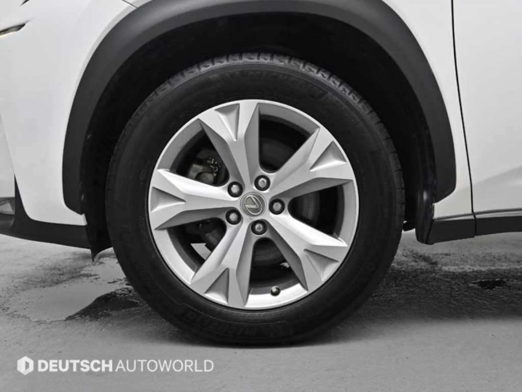 Lexus NX — photo 20
