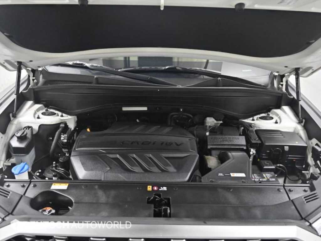 Hyundai Palisade — photo 17