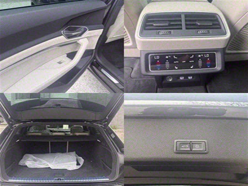 Audi e-tron — photo 18