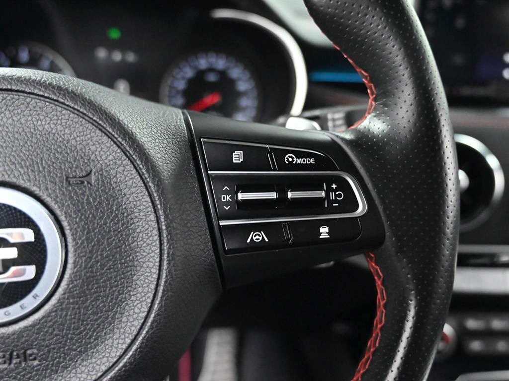 Kia Stinger — photo 18