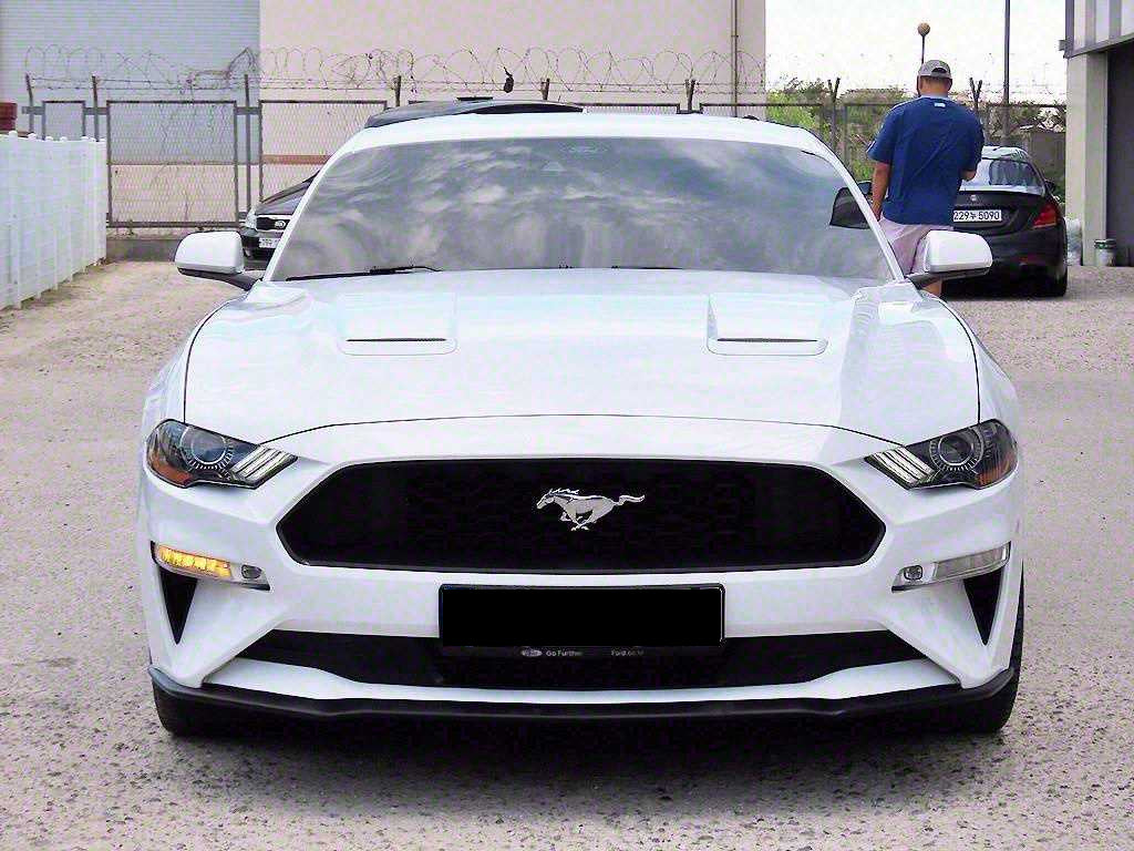 Ford Mustang — photo 02