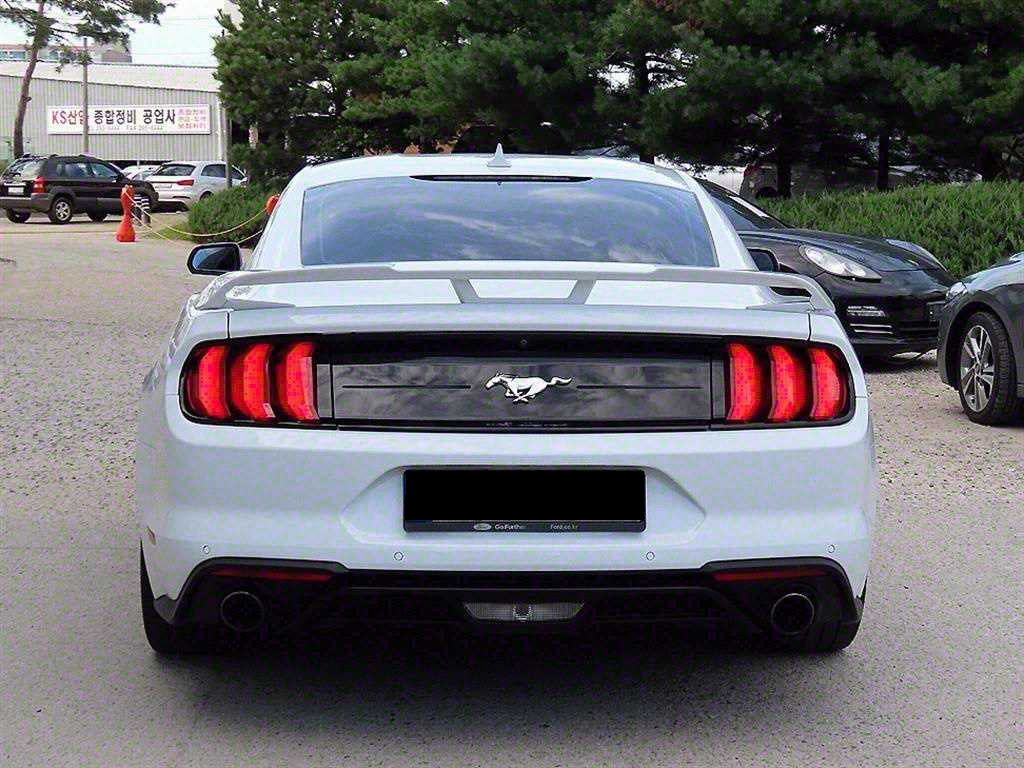 Ford Mustang — photo 05