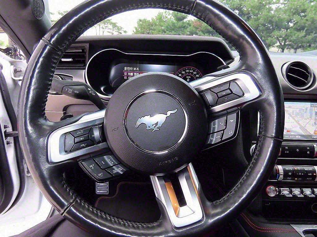 Ford Mustang — photo 09