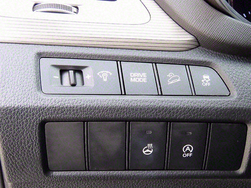 Hyundai Maxcruz — photo 12