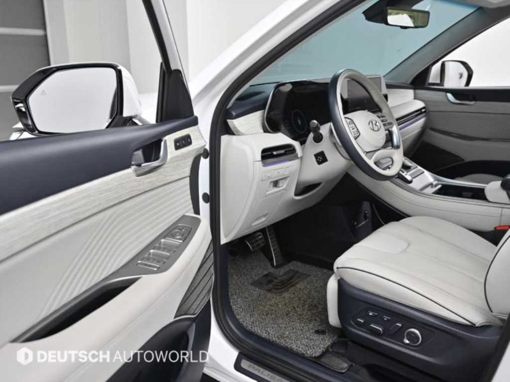 Hyundai Palisade — photo 11