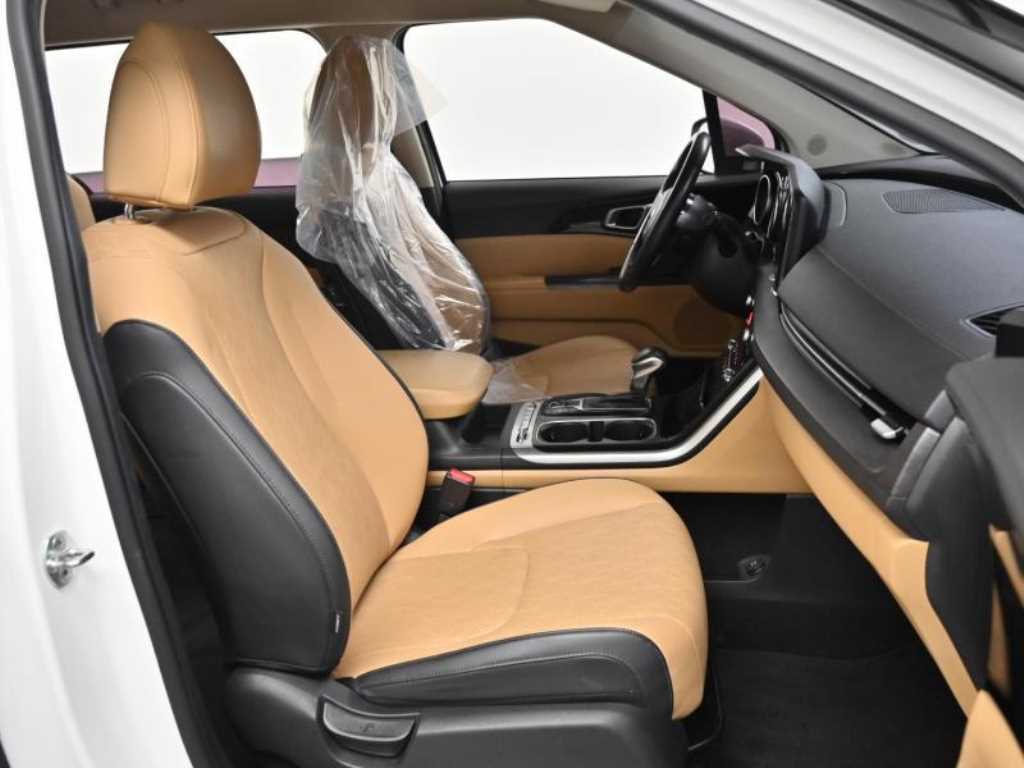 Kia Carnival — photo 10