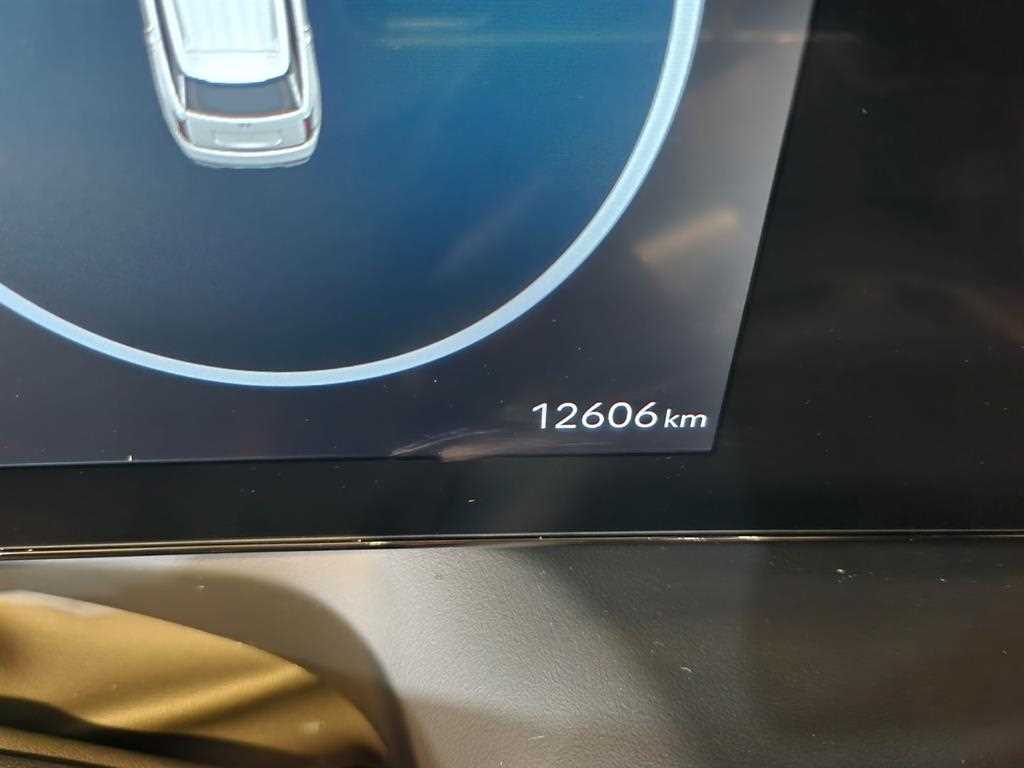 Hyundai Palisade — photo 13