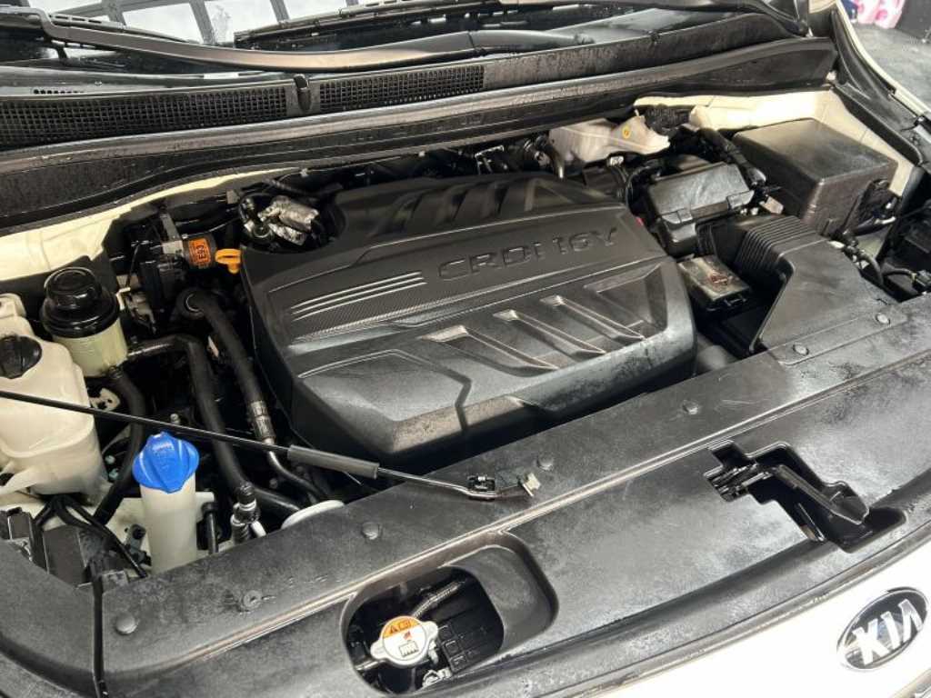 Kia Carnival — photo 19