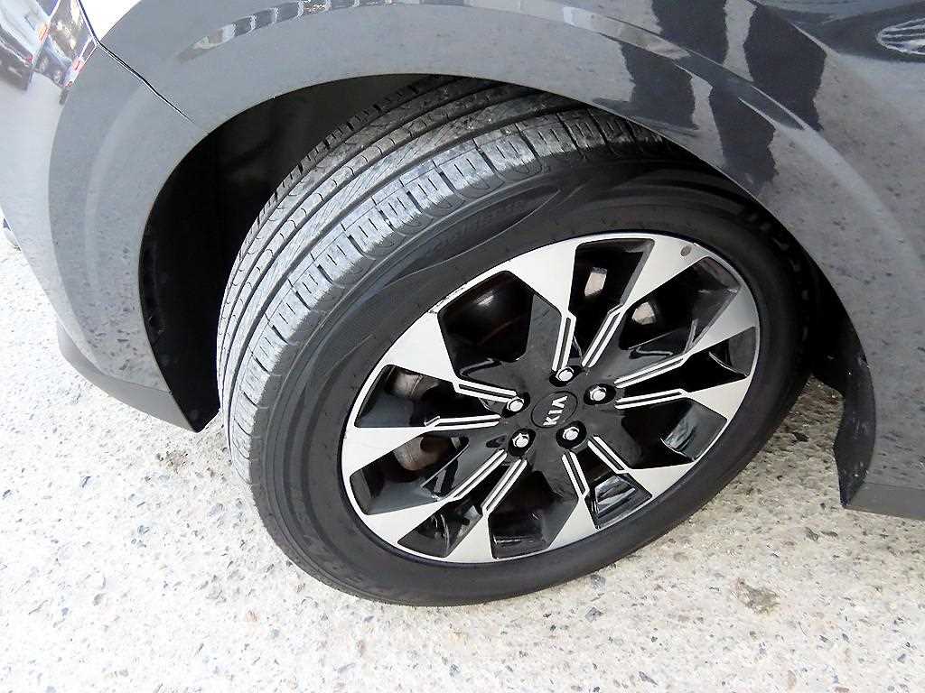 Kia Carnival — photo 20