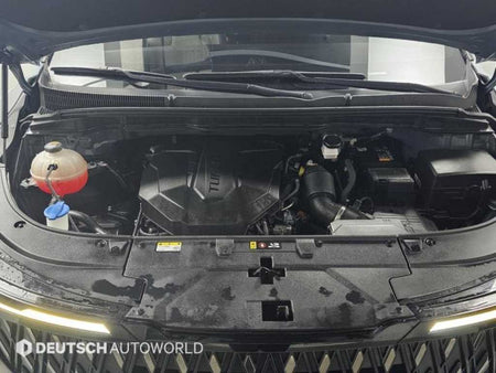 Kia Carnival — photo 06