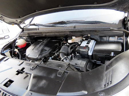 Kia Carnival — photo 19