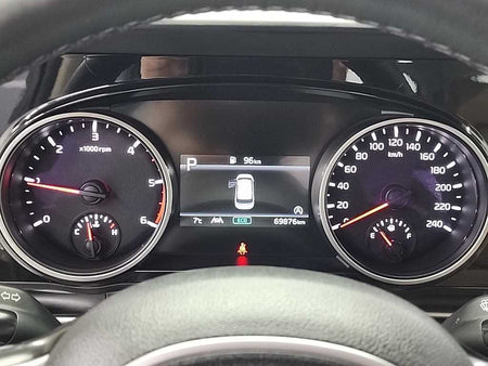 Kia Carnival — photo 06