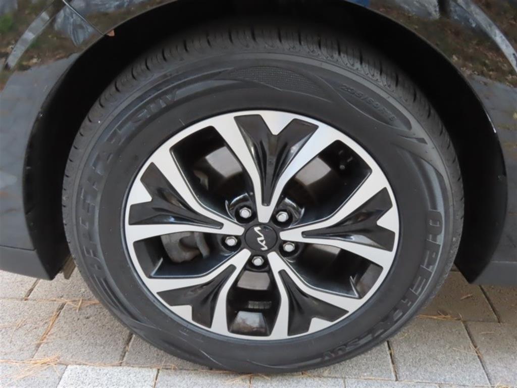 Kia Carnival — photo 17