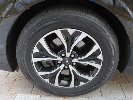 Kia Carnival — photo 17