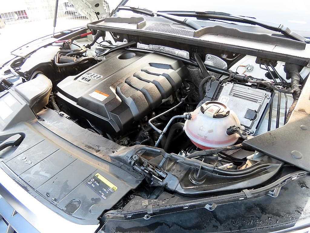 Audi Q5 — photo 19
