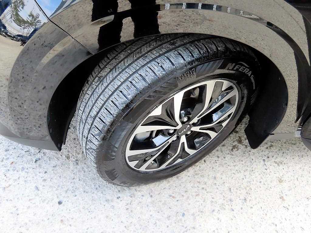 Kia Carnival — photo 20