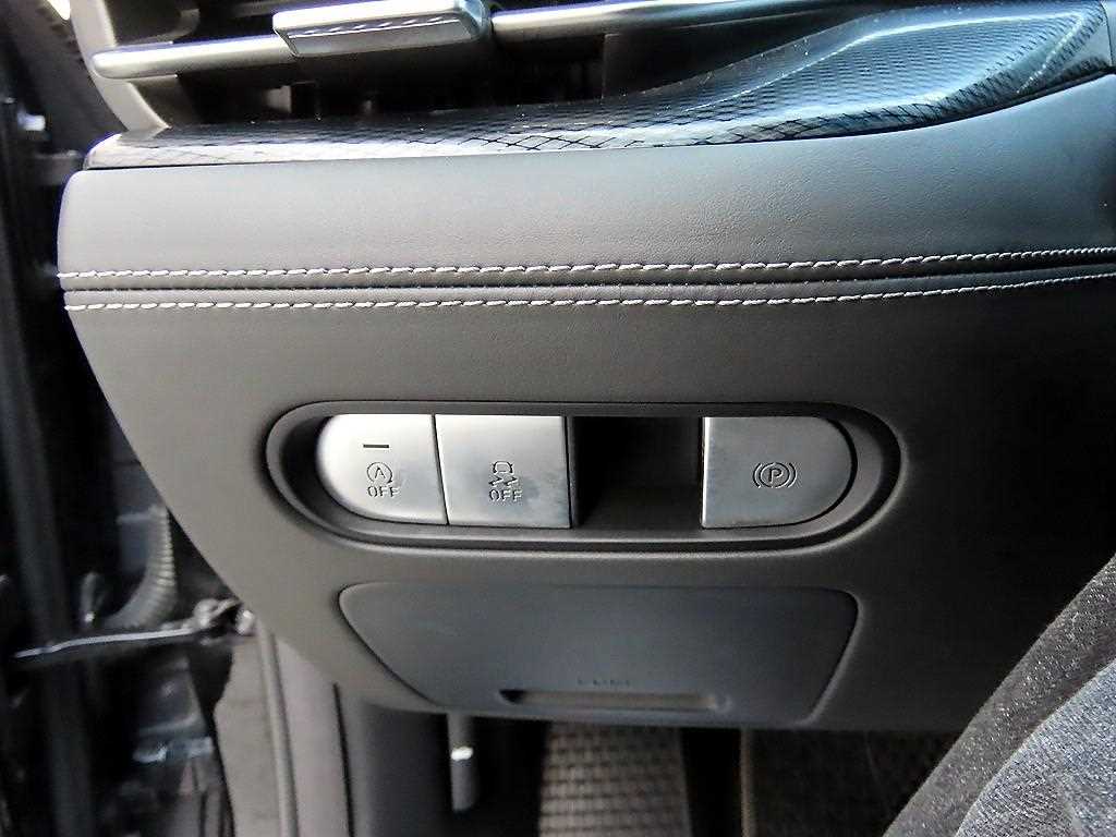 Genesis G90 — photo 13