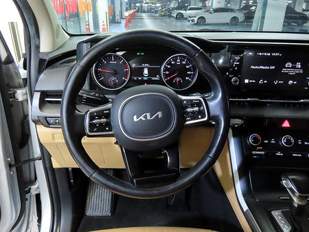 Kia Carnival — photo 08