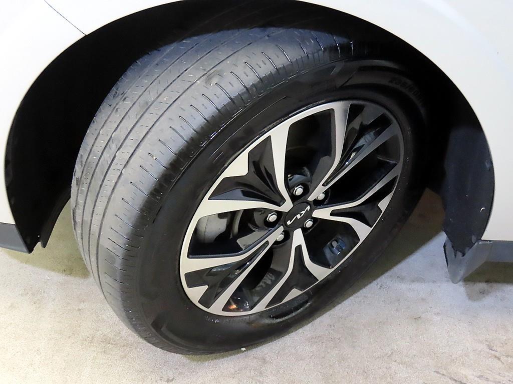 Kia Carnival — photo 20