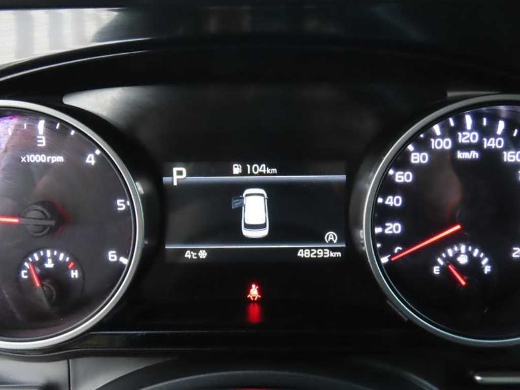 Kia Carnival — photo 13