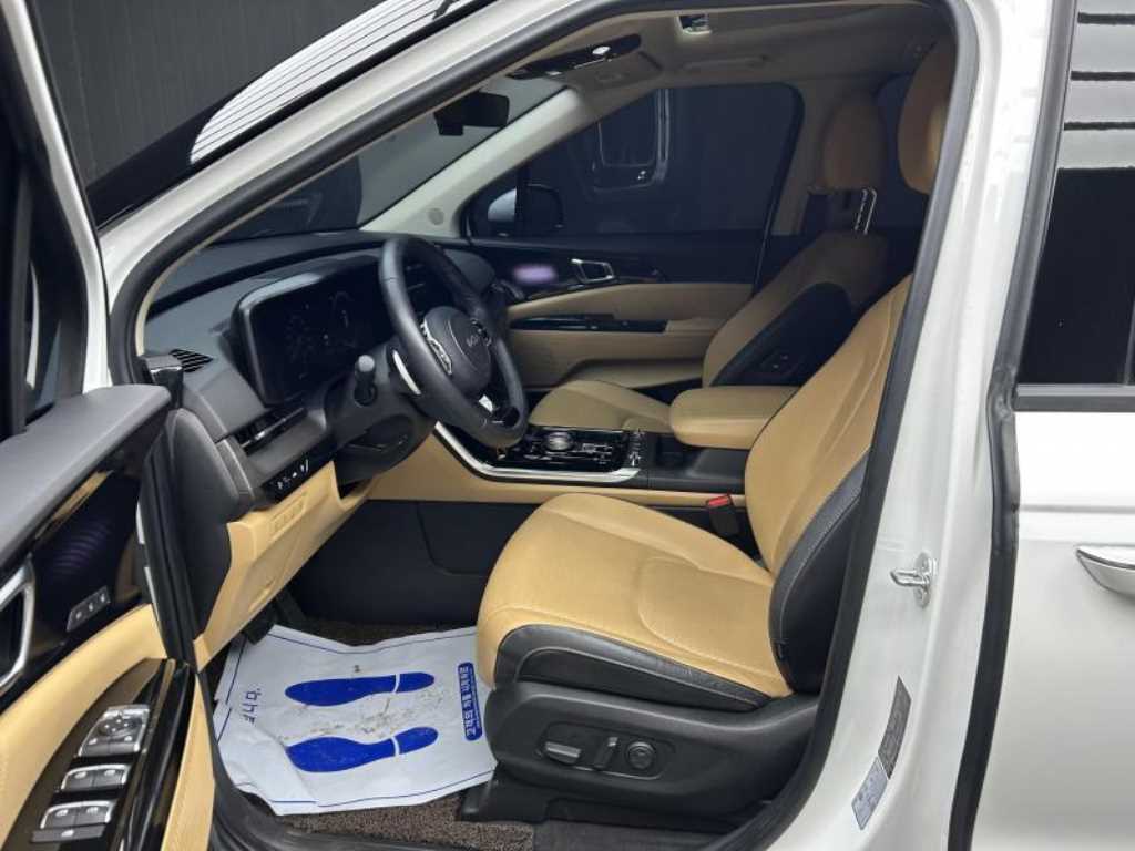 Kia Carnival — photo 06