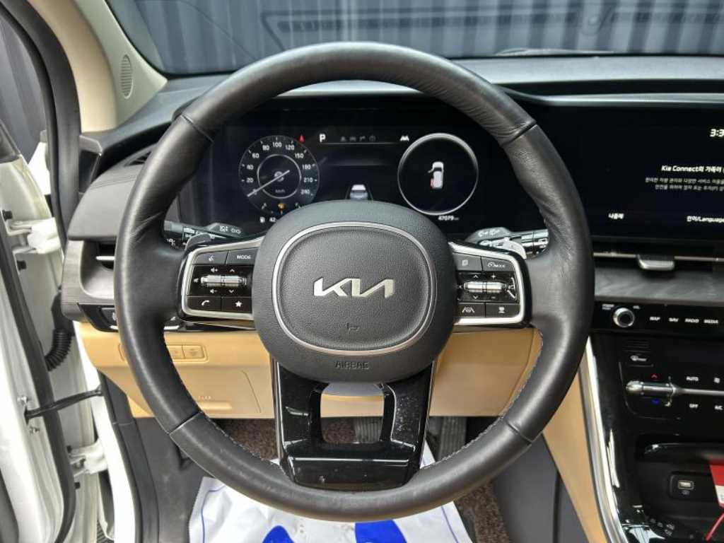 Kia Carnival — photo 08