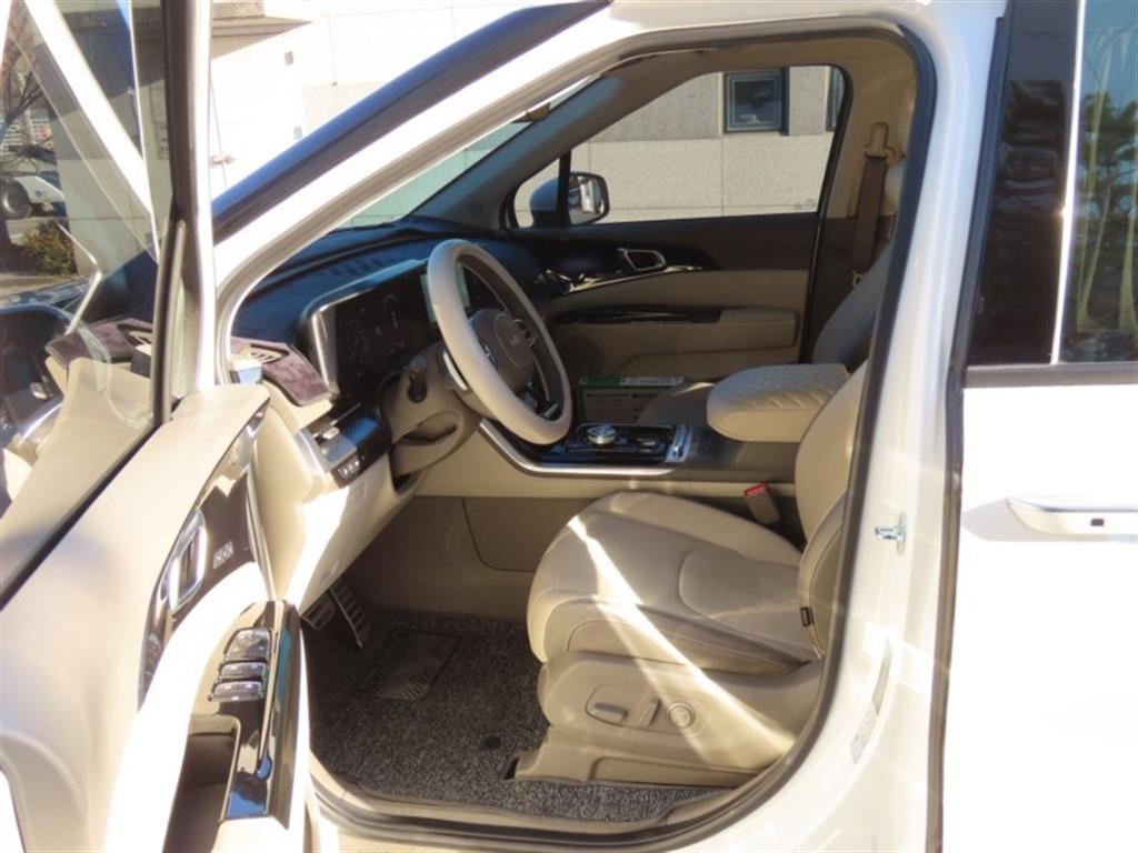 Kia Carnival — photo 13
