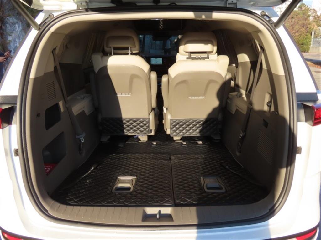 Kia Carnival — photo 18