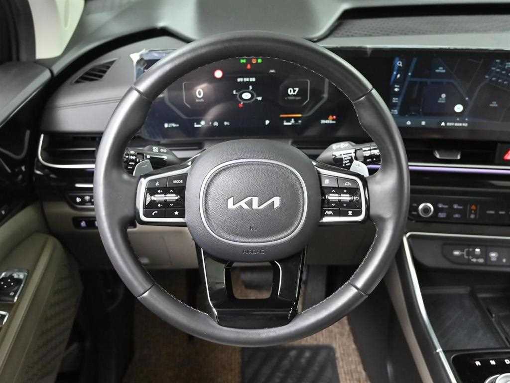 Kia Carnival — photo 13
