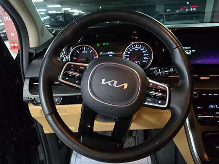 Kia Carnival — photo 08