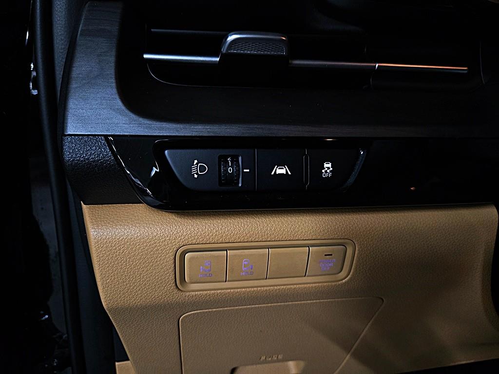 Kia Carnival — photo 15
