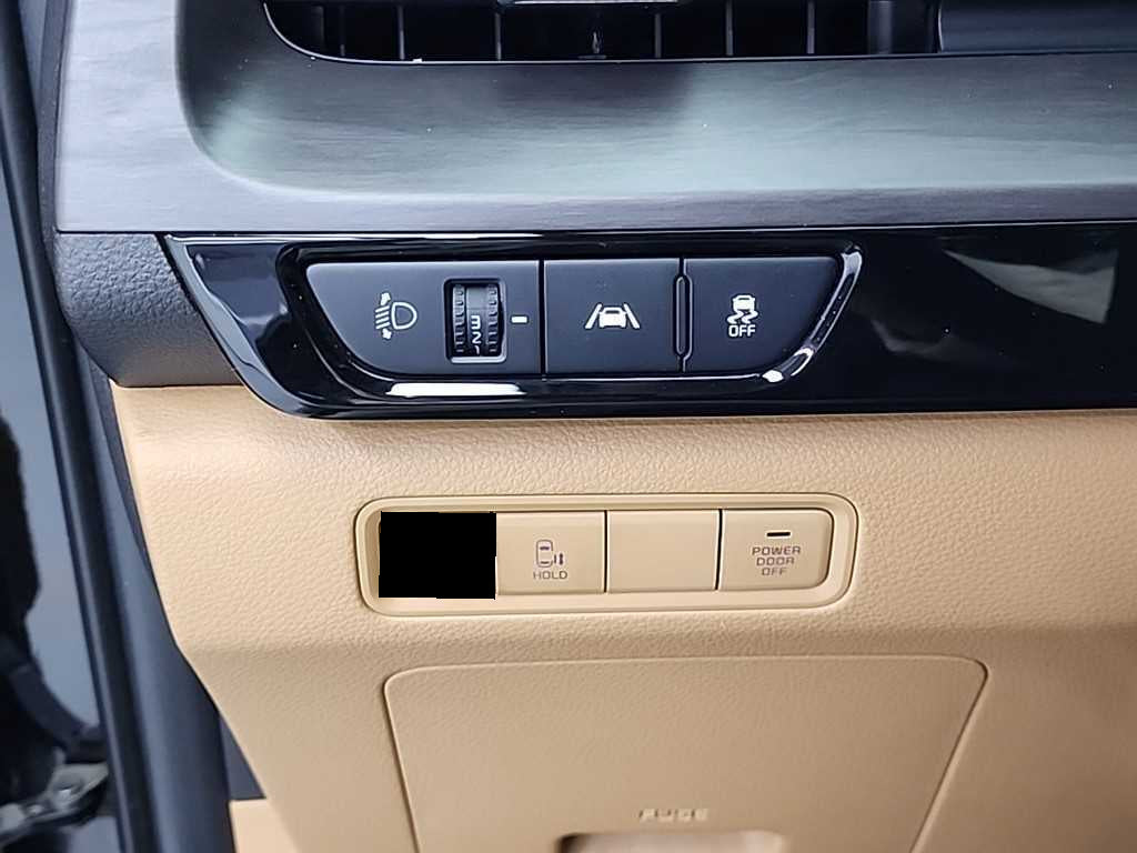 Kia Carnival — photo 18