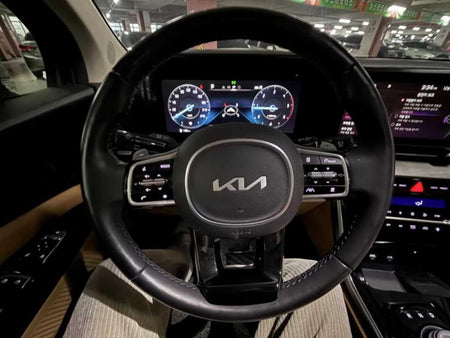 Kia Carnival — photo 13
