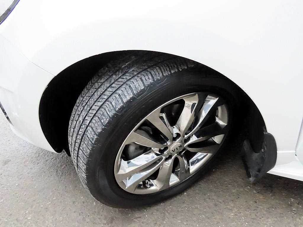 Kia Carnival — photo 20