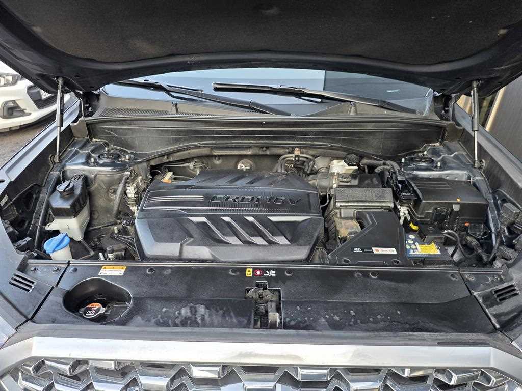 Hyundai Palisade — photo 19